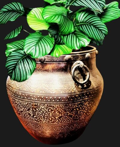 Exquisite Handmade Brass Decorative Planters for Sale in India